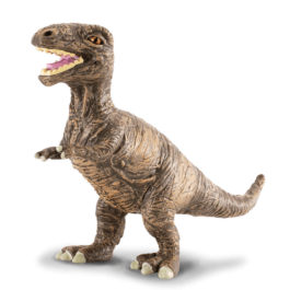 CollectA Τυραννόσαυρος Ρεξ Μωρό (88197)