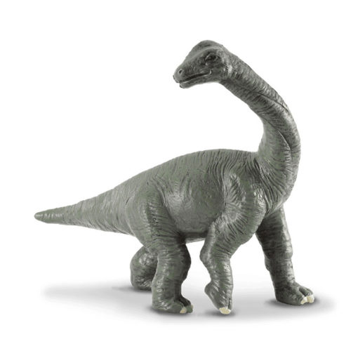 CollectA Βραχιόσαυρος Μωρό (88200)