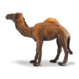 CollectA Δρομάδα Καμήλα (88208)
