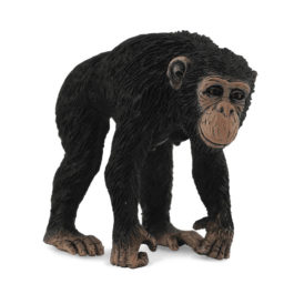 CollectA Χιμπατζής θηλυκός (88493)