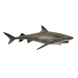CollectA Καρχαρίας Τίγρης (88661)