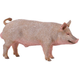 CollectA Αρσενικό γουρούνι (88864)