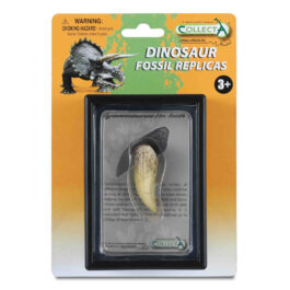 CollectA Εύρημα – Δόντι Τυραννόσαυρου Ρέξ Σε Κουτί (89281)