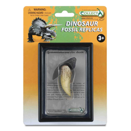 CollectA Εύρημα - Δόντι Τυραννόσαυρου Ρέξ Σε Κουτί (89281)