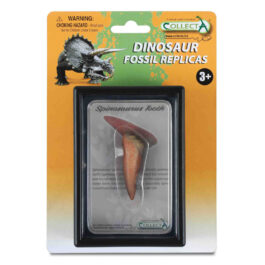 CollectA Εύρημα – Δόντι Σπινόσαυρου Σε Κουτί (89290)