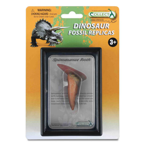CollectA Εύρημα - Δόντι Σπινόσαυρου Σε Κουτί (89290)