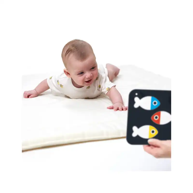 Banana Panda High Contrast Baby Cards 0M+ (BP76276)